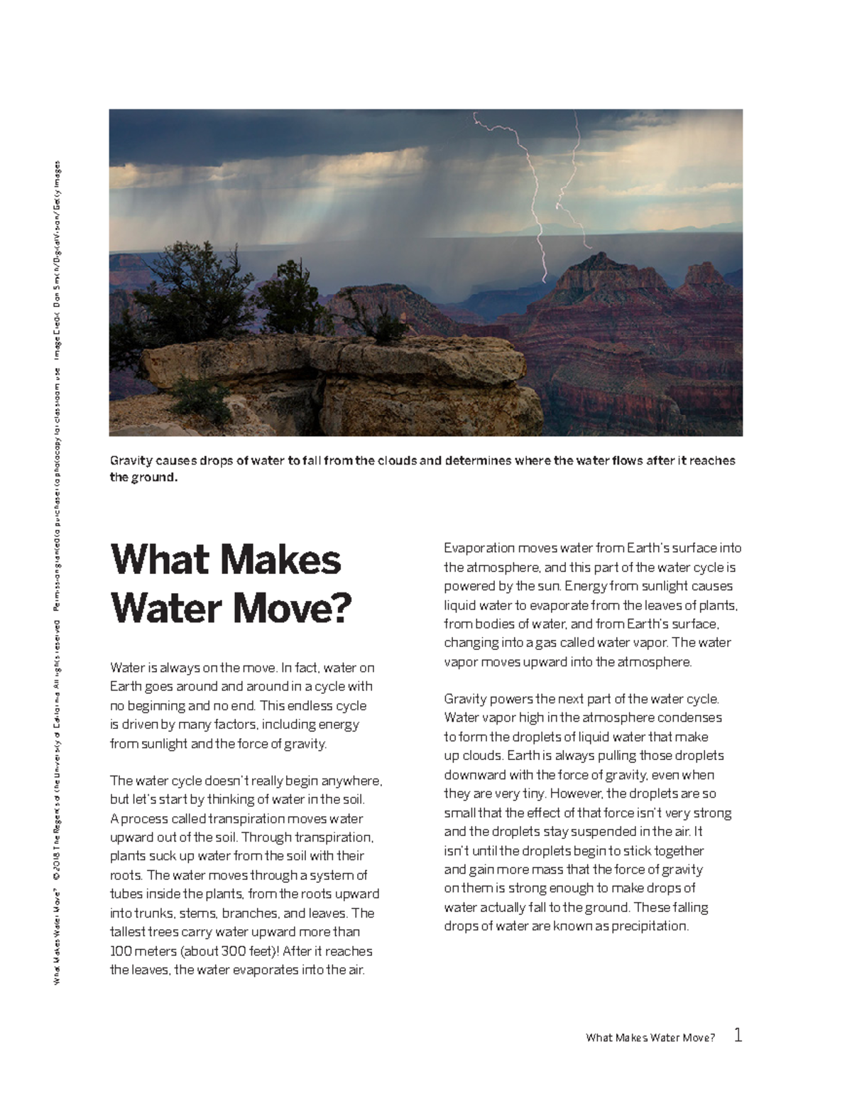 What+Makes+Water+Move+Article - What Makes Water Move? 1 What Makes