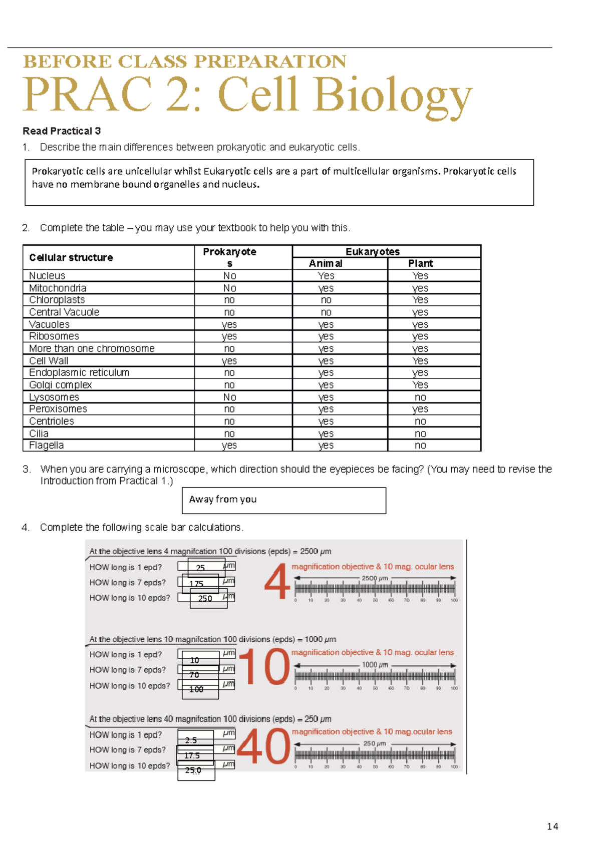 BIOL1020 Prac 2 - Microscopy - BEFORE CLASS PREPARATION PRAC 2: Cell ...
