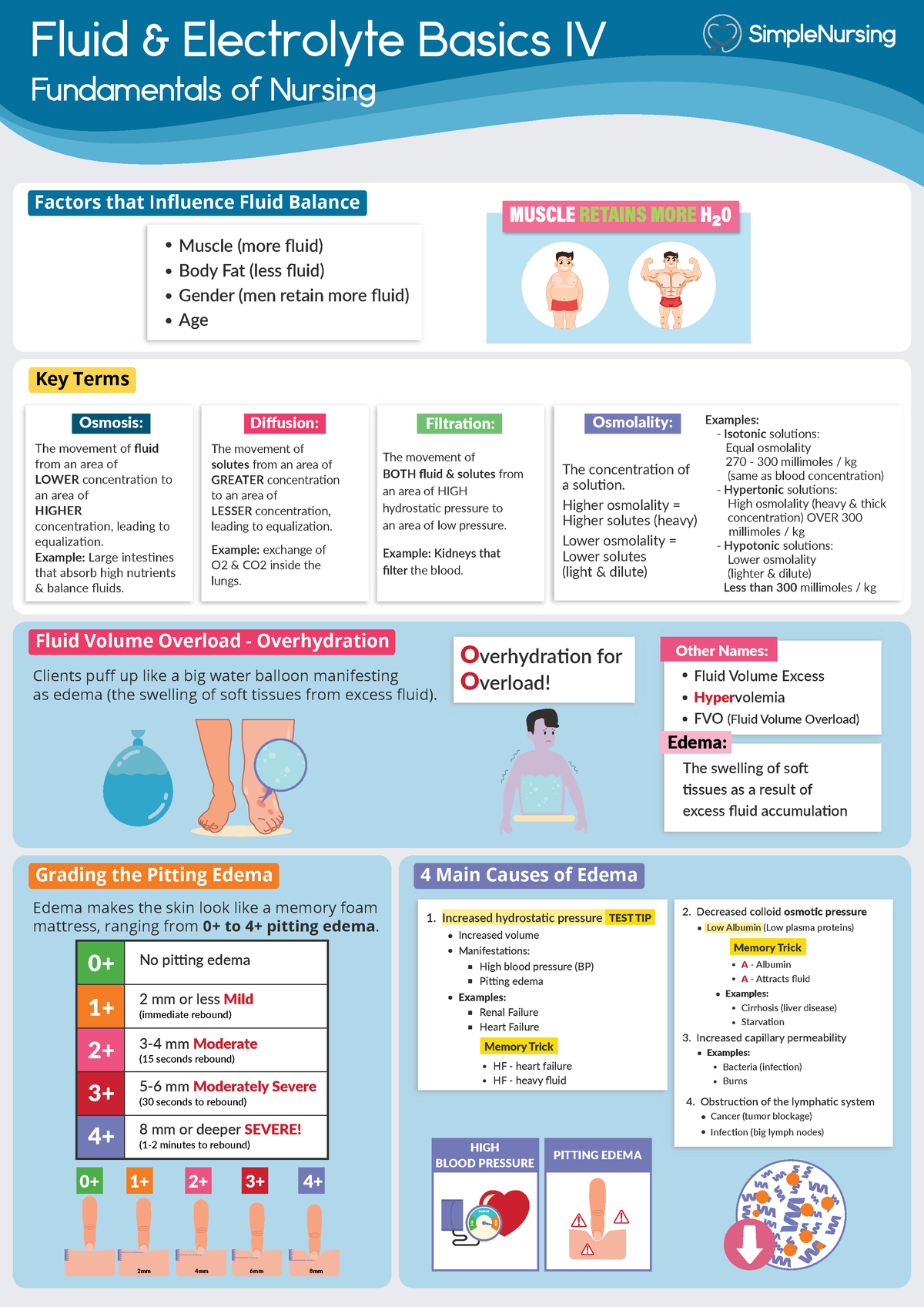 4 - Fluid Balance & Fluid Overload - Fluid & Electrolyte Basics IV ...