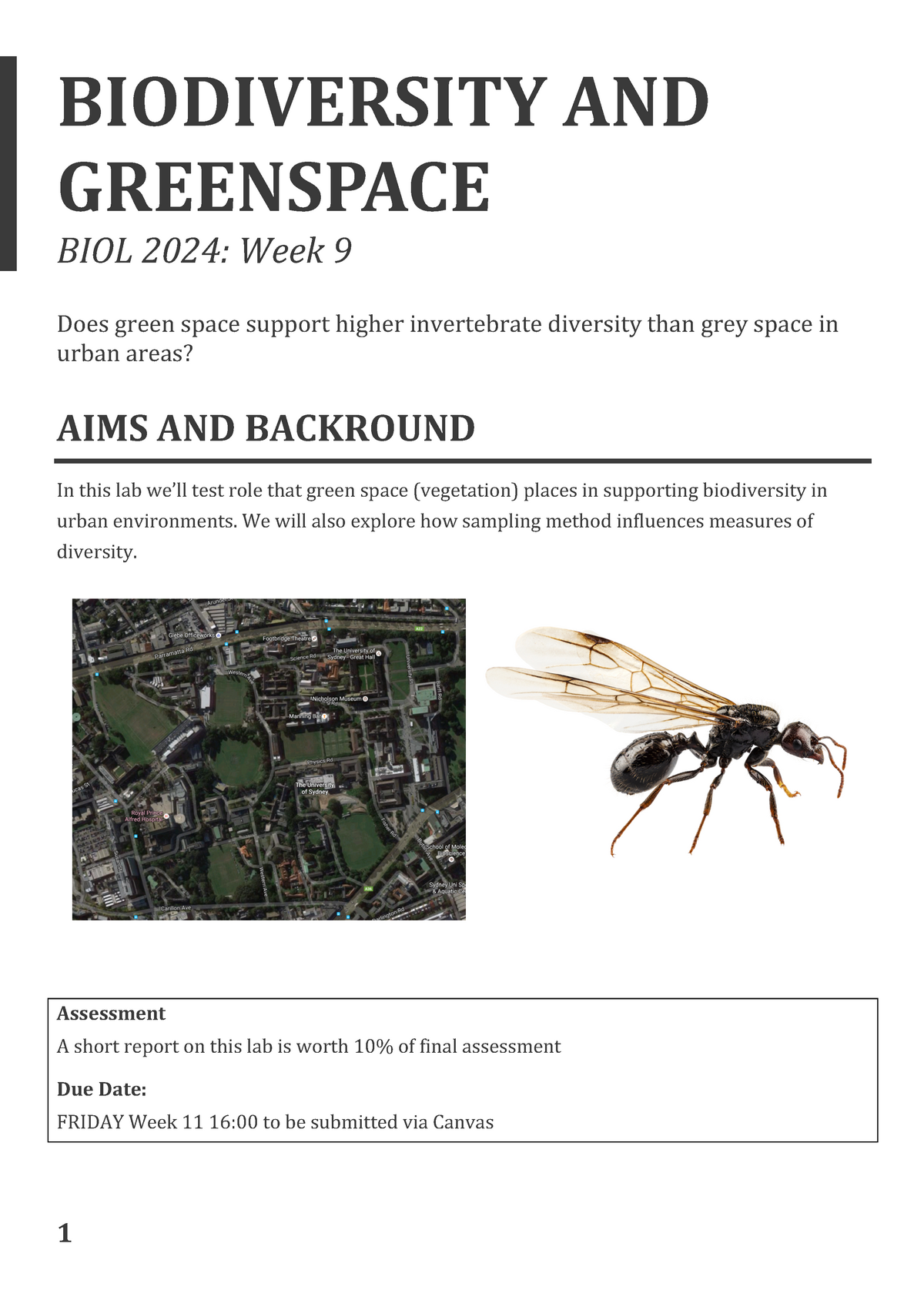 BIOL 2024 Week 9 Biodiversity And Greenspace BIODIVERSITY AND   Thumb 1200 1697 