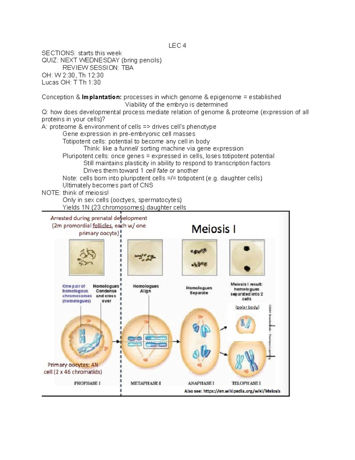LEC 4 - Lecture notes 4 - LEC 4 SECTIONS: starts this week QUIZ: NEXT ...