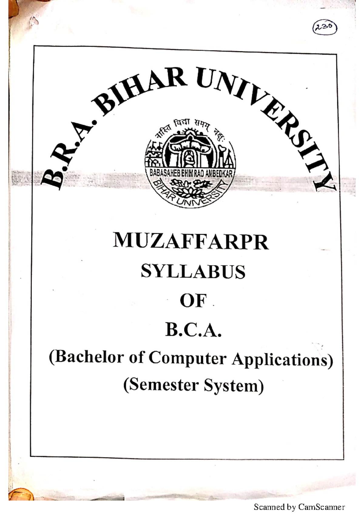bca-syllabus-semester-system-1-engineering-studocu
