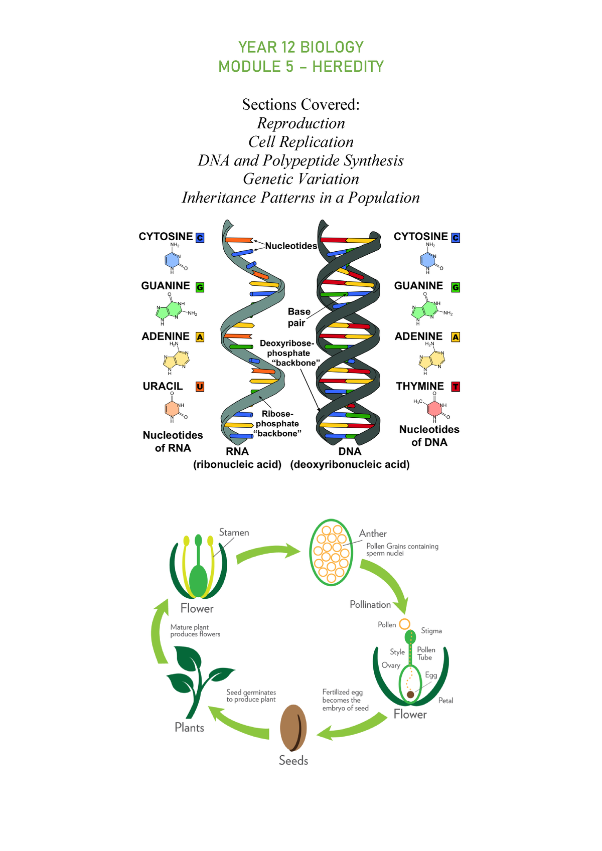 Year 12 Bio Notes - Whole Course - Module 5-8 - YEAR 12 BIOLOGY MODULE ...