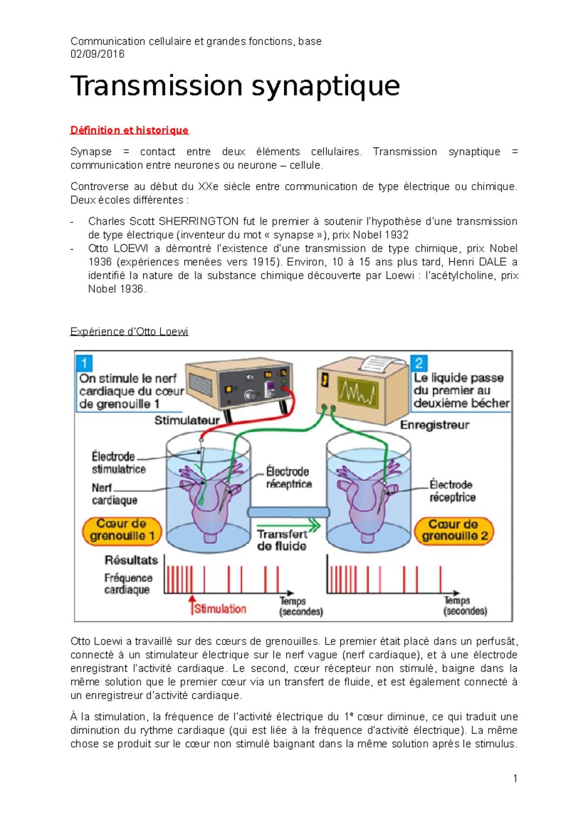 1 - Transmission Synaptique - Communication Cellulaire Et Grandes ...