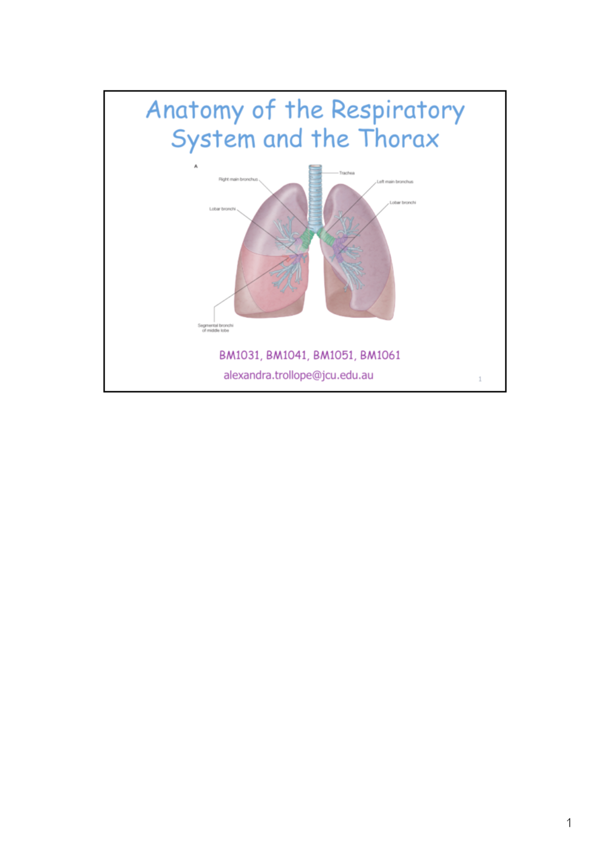 Lecture slides, lectures 12 - anatomy of the respiratory system and the ...