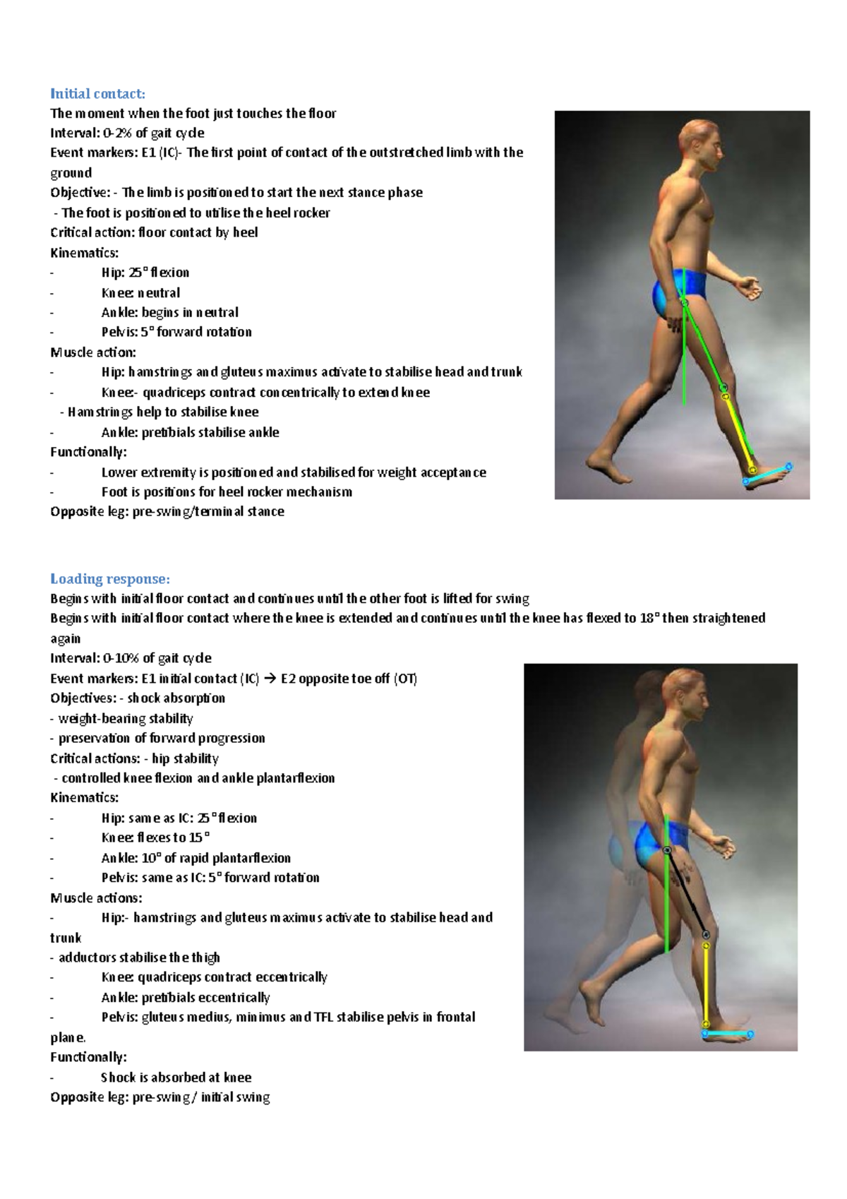Phases of gait cards Initial contact The moment when the foot just
