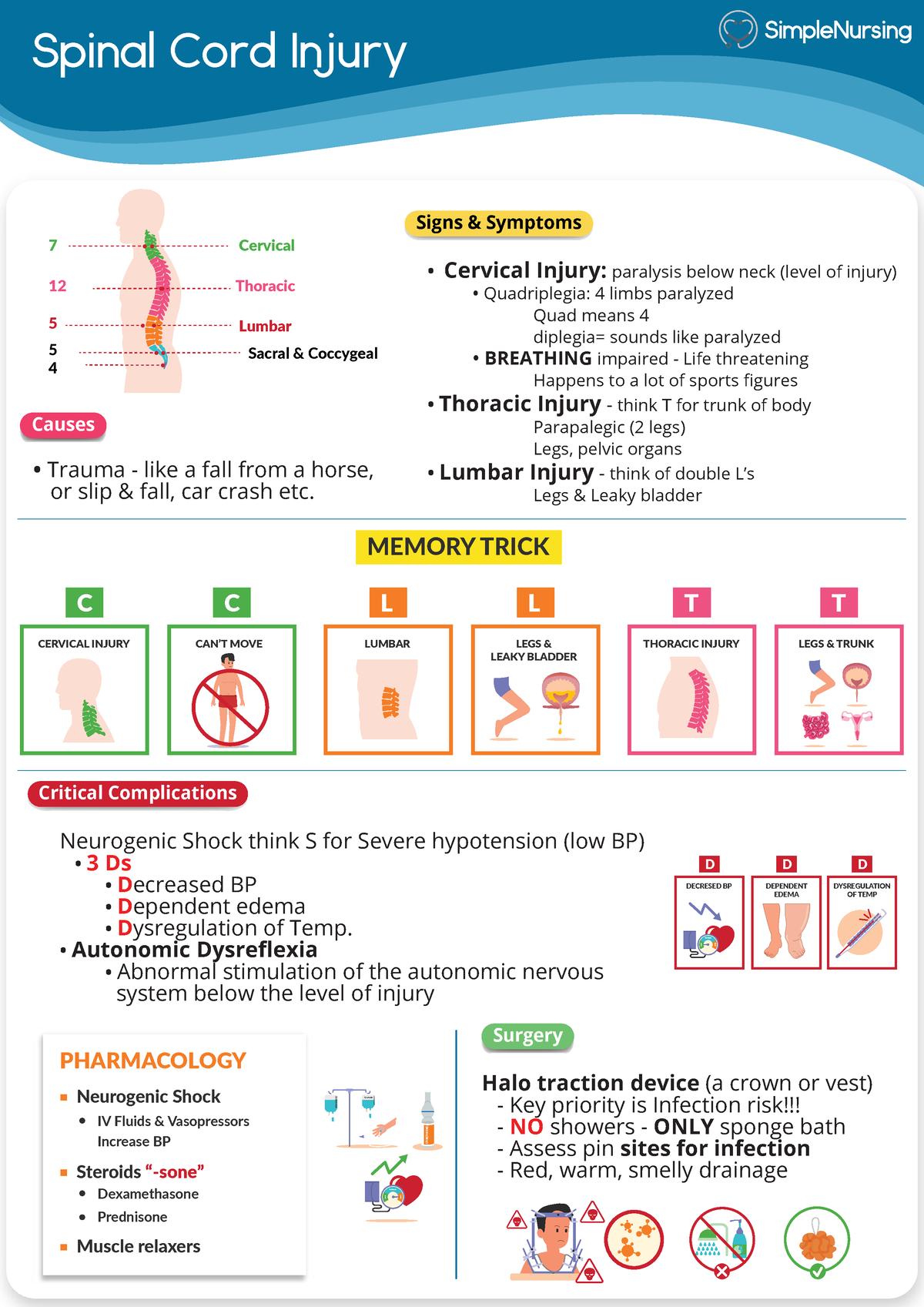 1. Spinal Cord Injury - Handout - Spinal Cord Injury Trauma - like a ...