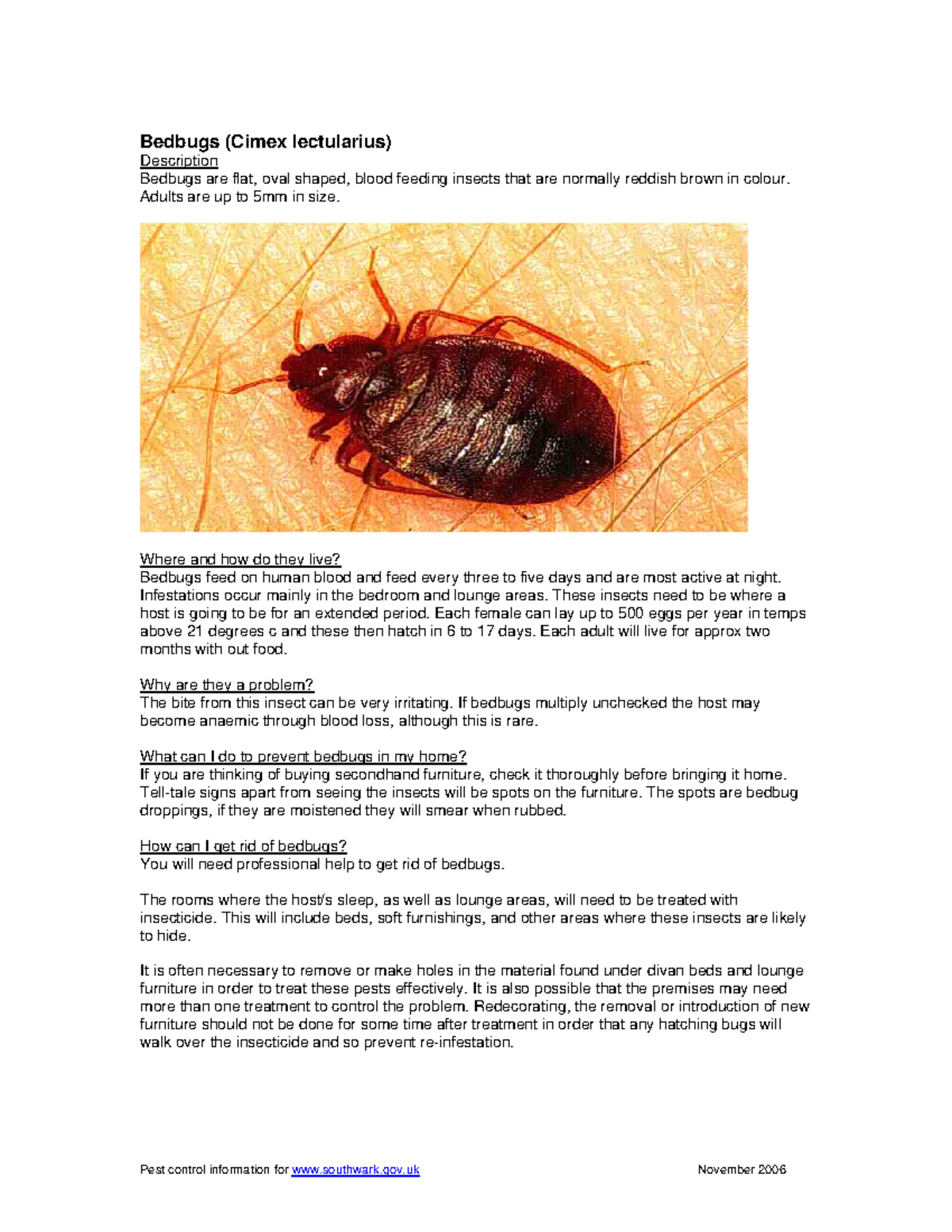 Bedbugs - Adults Are Up To 5mm In Size. Where And How Do They Live ...