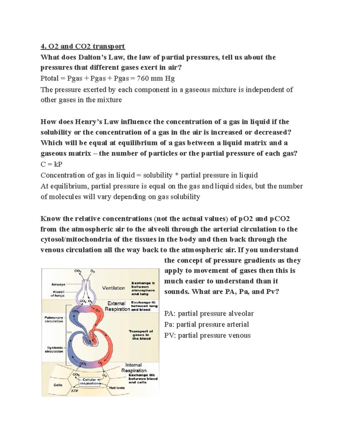 O2 and CO2 Transport - This is notes from Human Physiology at UGA ...