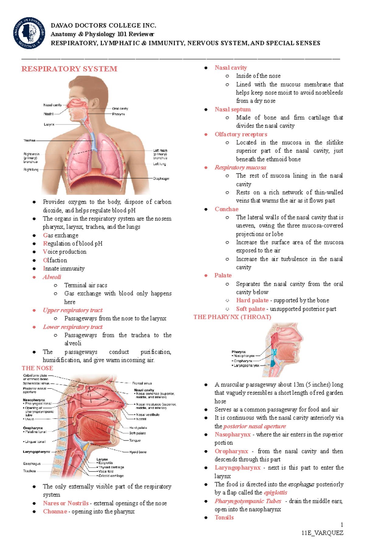 11E Varquez Lyssakate TASK11 - Anatomy & Physiology 101 Reviewer ...