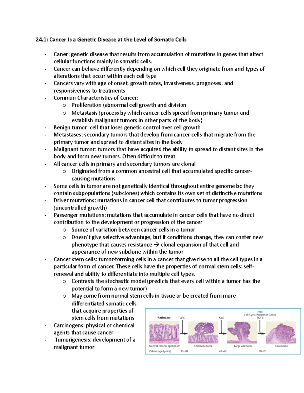 Chapter 24 - 24: Cancer Is a Genetic Disease at the Level of Somatic ...