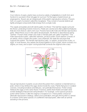 Bio 101 Exam 2 Study Guide - Characteristics of Viruses - Don’t fit ...