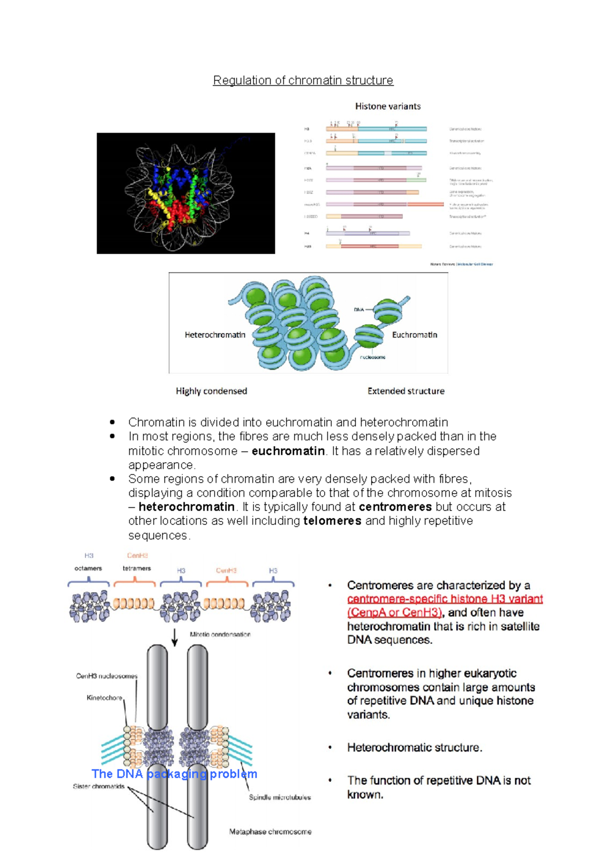 Regulation Of Chromatin Structure - Regulation Of Chromatin Structure ...