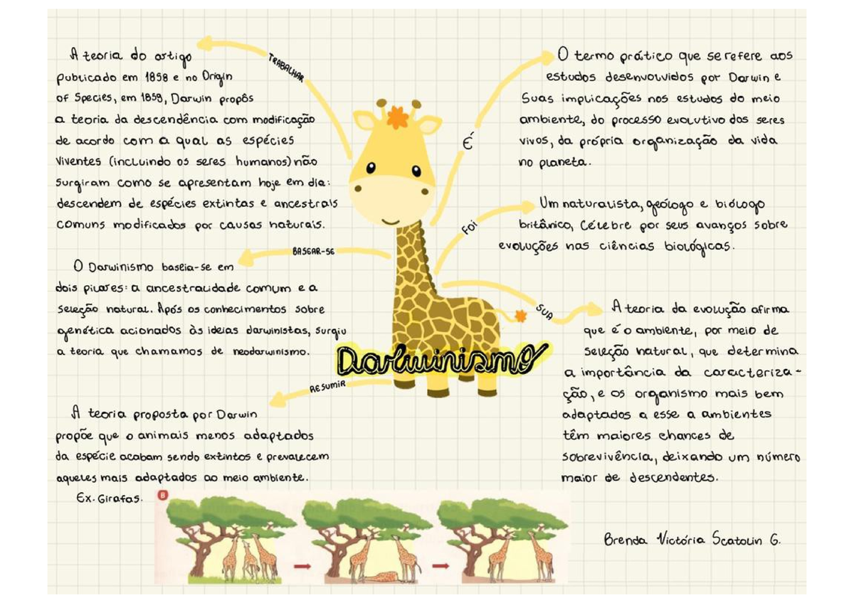 Darwinismo - Biologia - Studocu