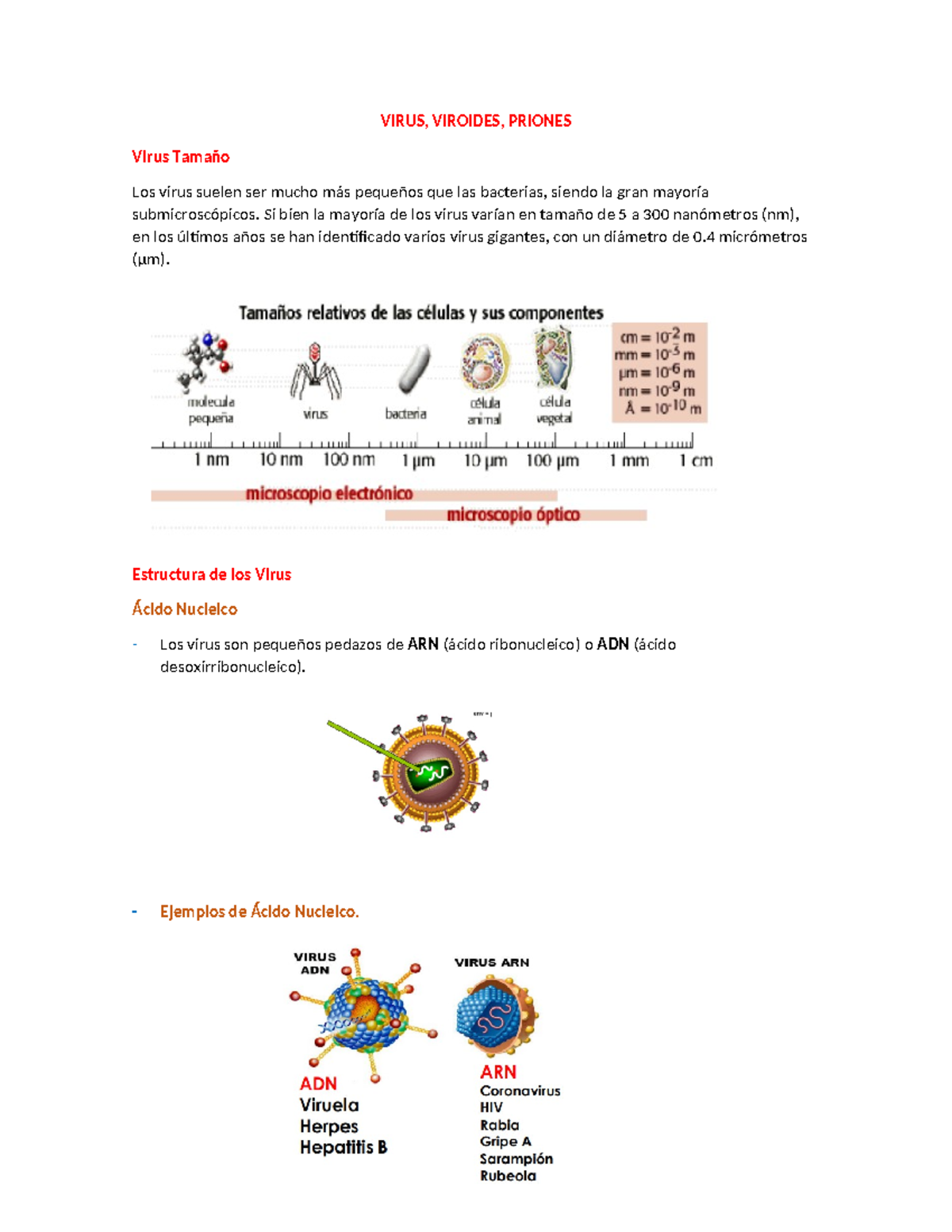 Virus - biologia general - VIRUS, VIROIDES, PRIONES Virus Tamaño Los ...