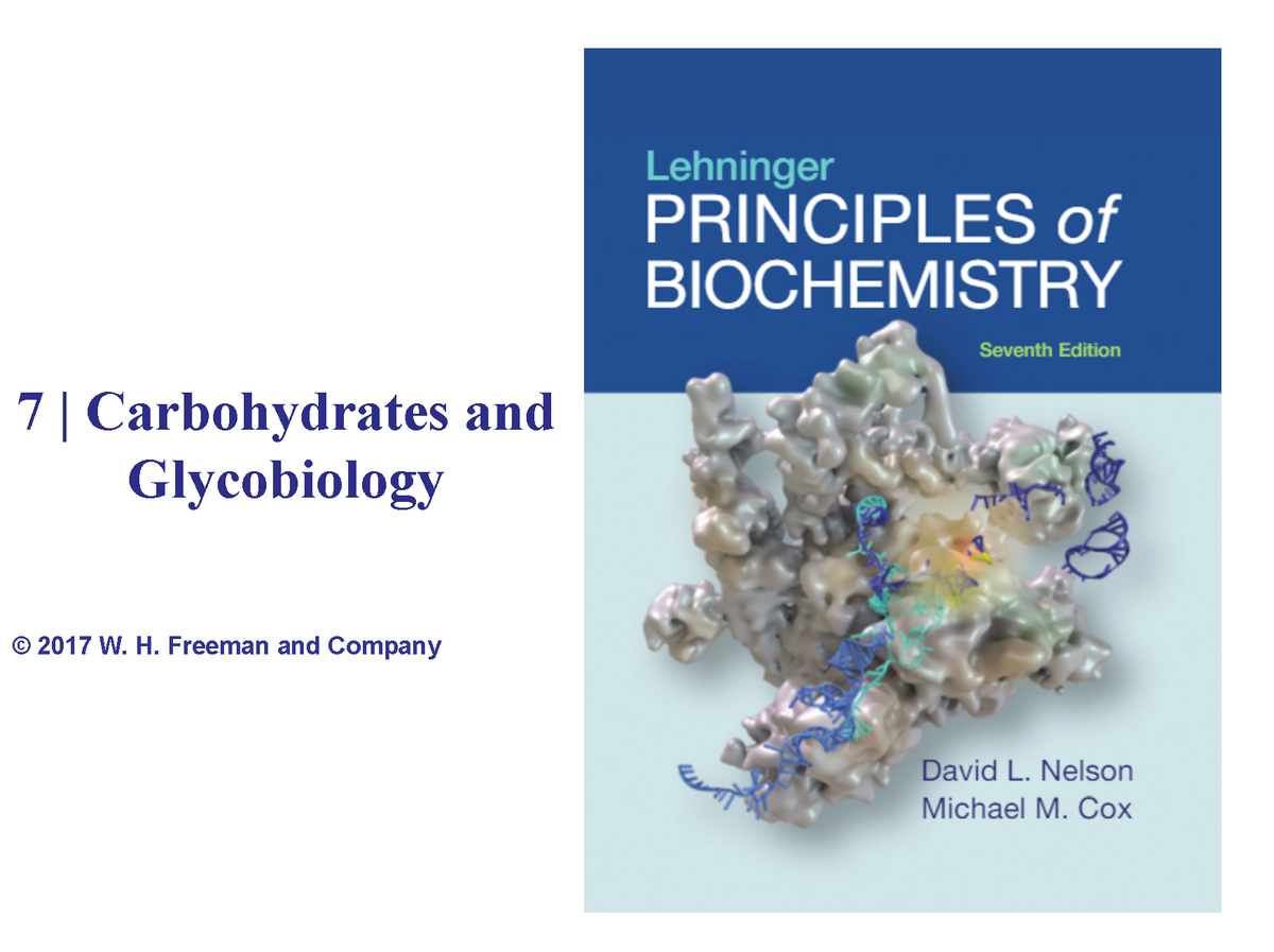 Ch7 Biochem Lahousse - 7 | Carbohydrates And Glycobiology ...