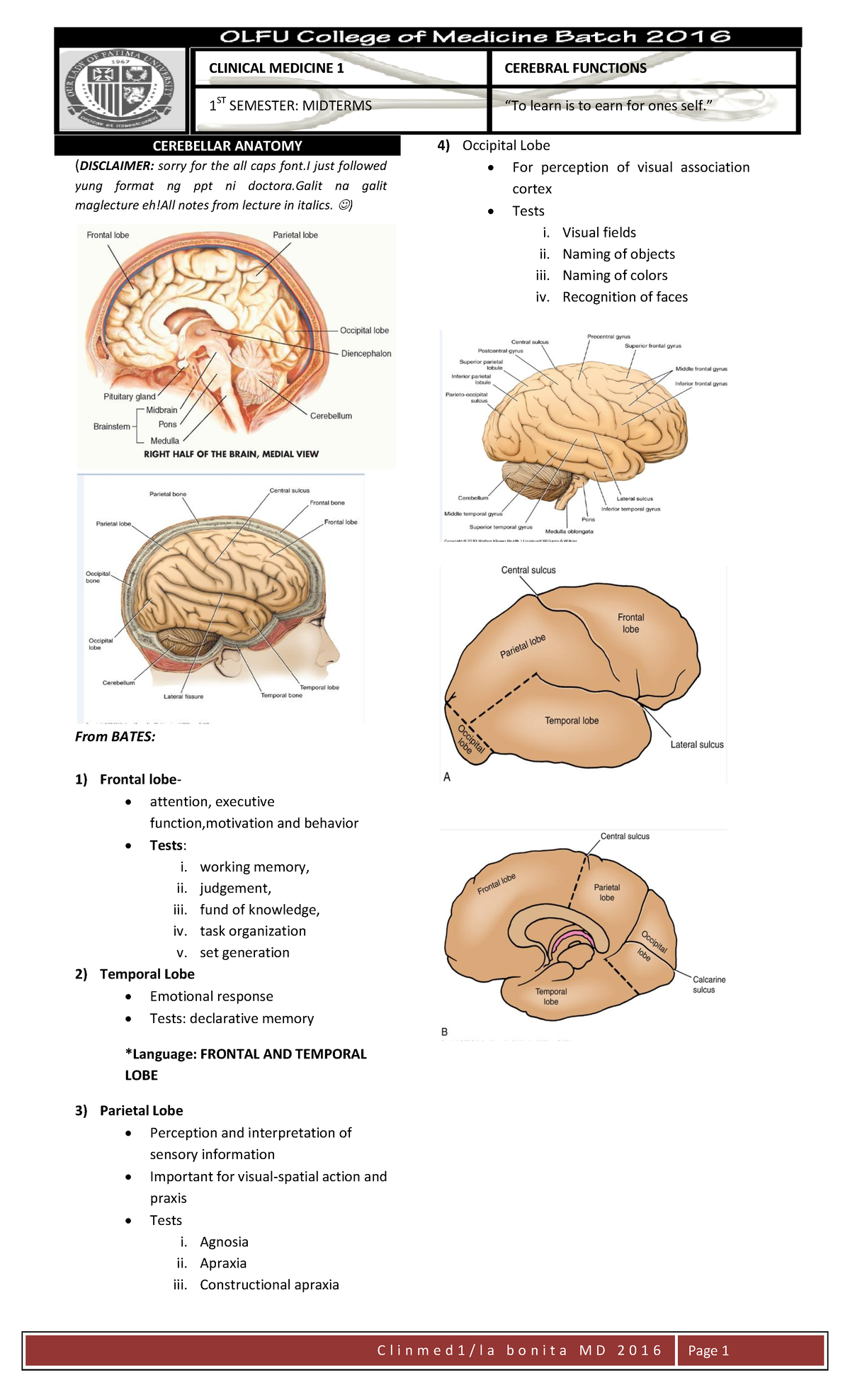 Cerebral Functions Self Help Trans - CEREBELLAR ANATOMY ( DISCLAIMER ...