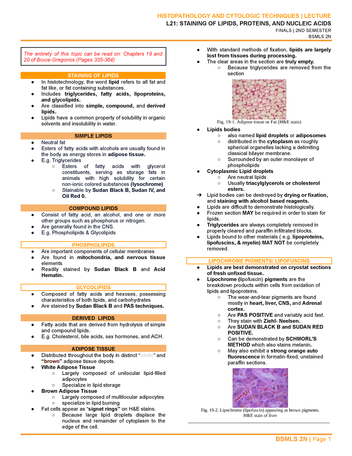 L21 Staining OF Lipids, Proteins, AND Nucleic Acids - HISTOPATHOLOGY ...