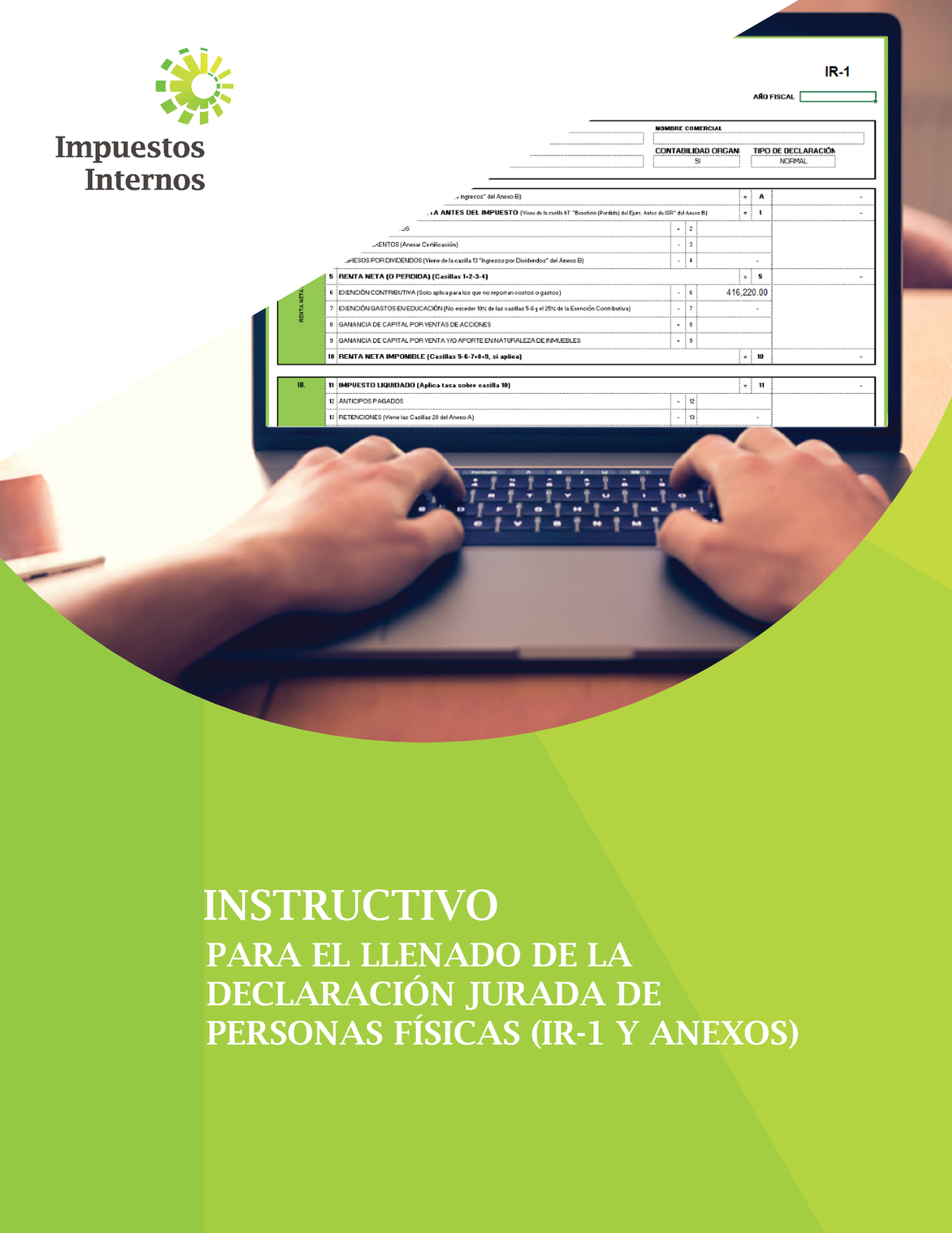 Instructivo Llenado IR 1(2018 ) - INSTRUCTIVO PARA EL LLENADO DE LA ...