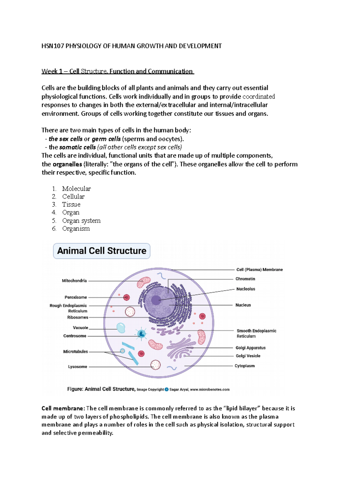 HSN107 - LECTURE NOTES - HSN107 PHYSIOLOGY OF HUMAN GROWTH AND ...