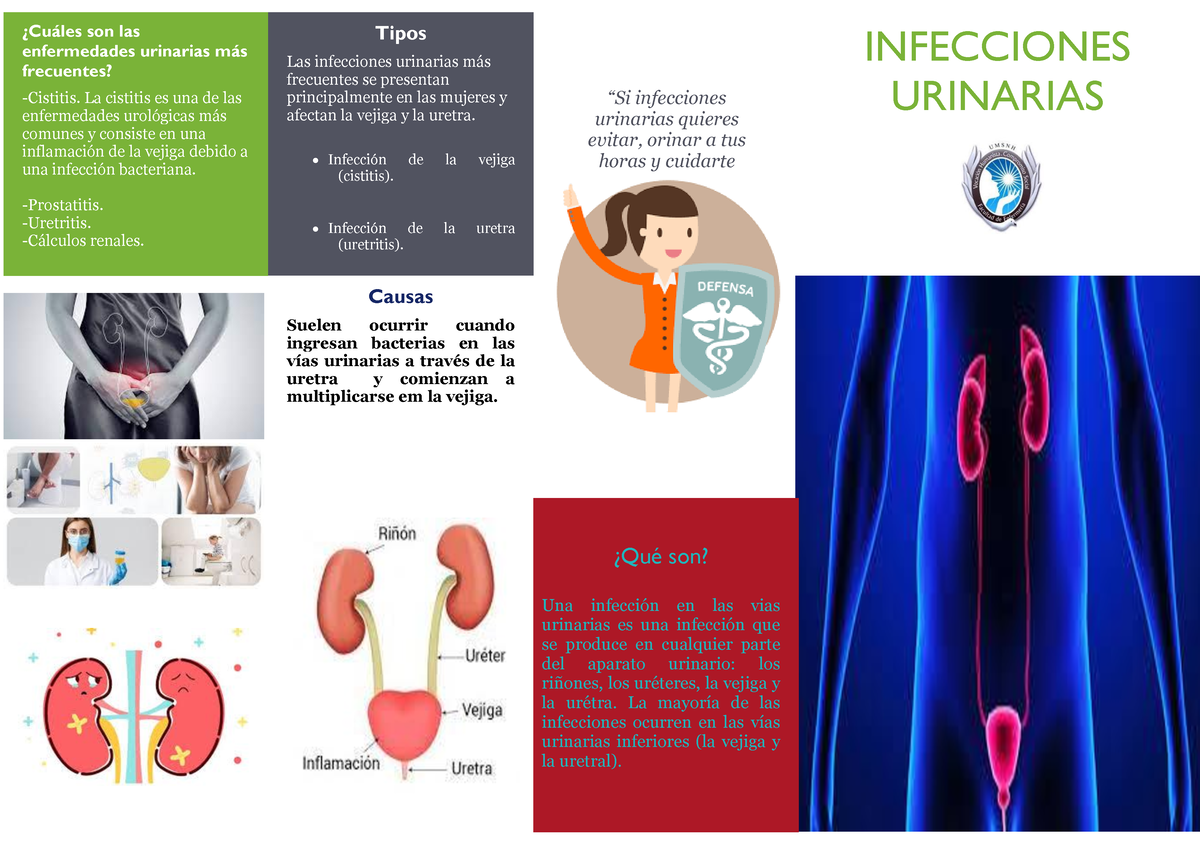 Triptico Vías Urinarias - ¿Cuáles Son Las Enfermedades Urinarias Más ...