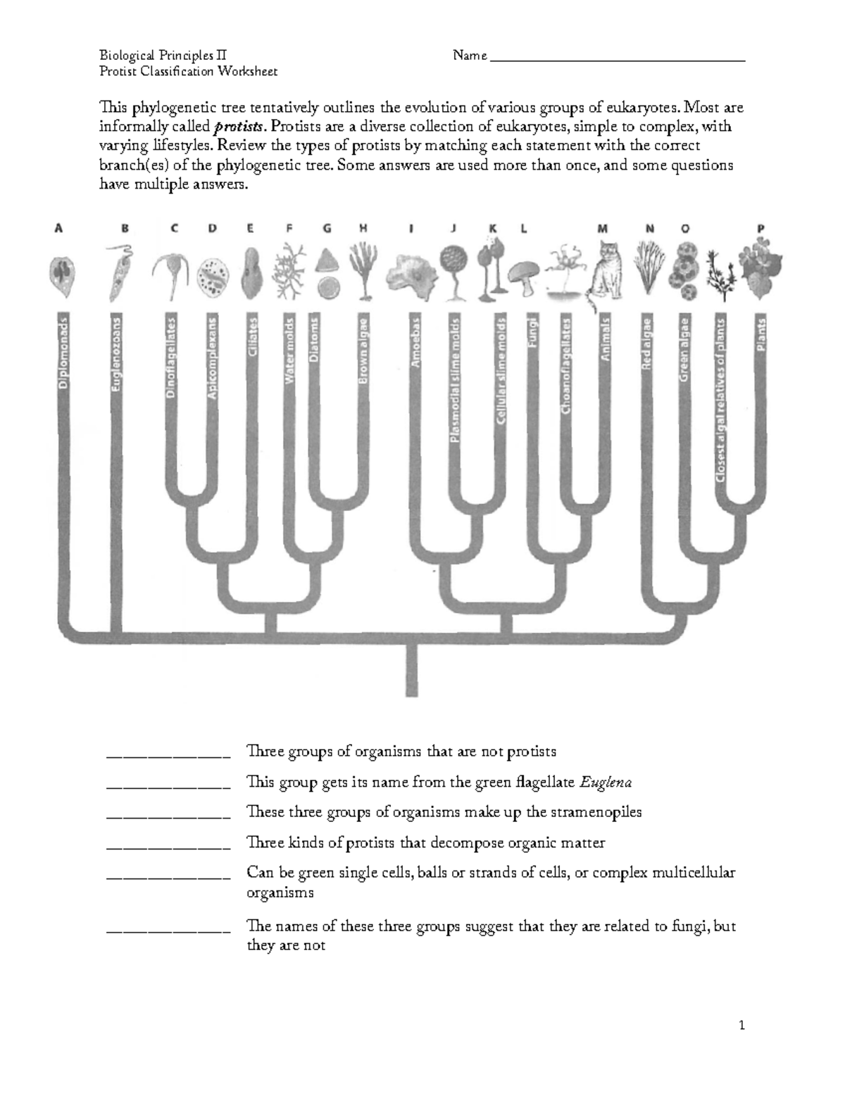 biology-plant-fungus-like-protists-youtube