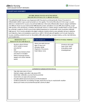 Kenneth Bronson Concept Map Kenneth Bronson Vsim 1 .Docx - Karen Salazar (Kenneth Bronson) Concept Map  Worksheet Describe - Studocu
