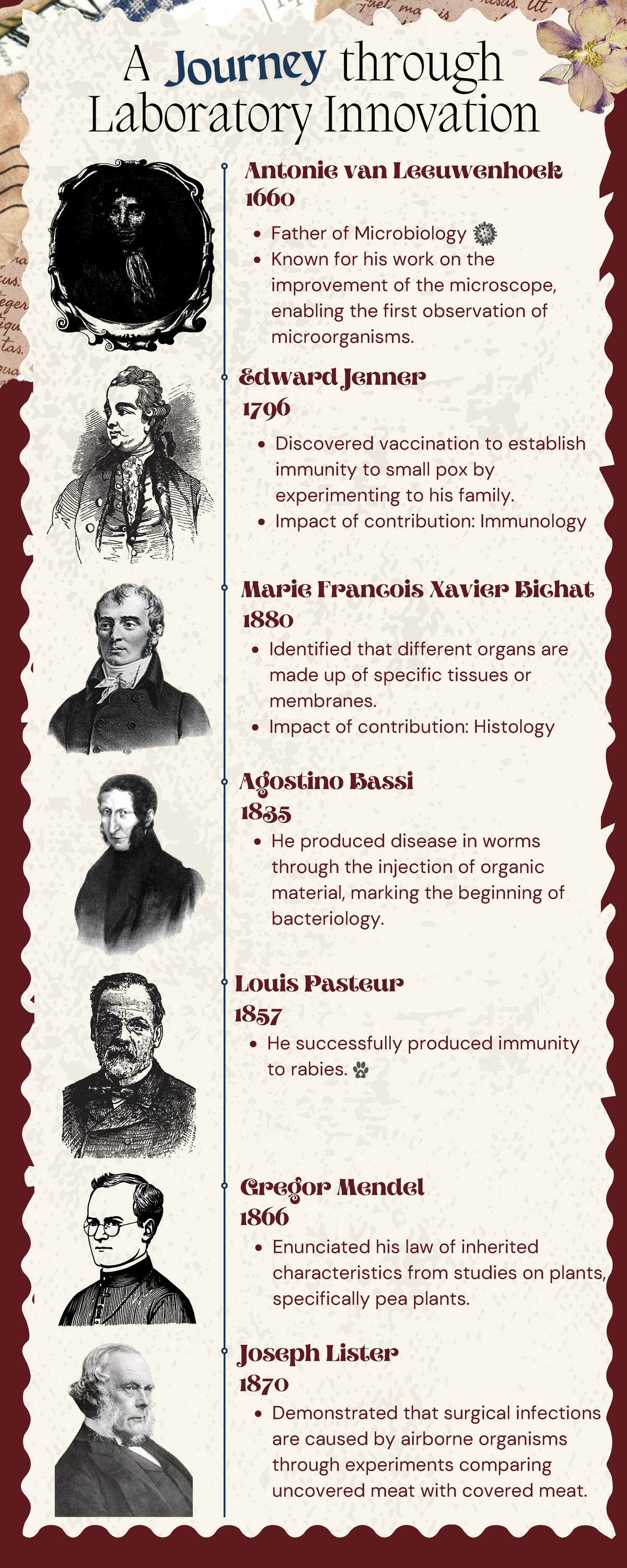 M1 Inventions and Innovations Timeline - Antonie van Leeuwenhoek 1660 ...