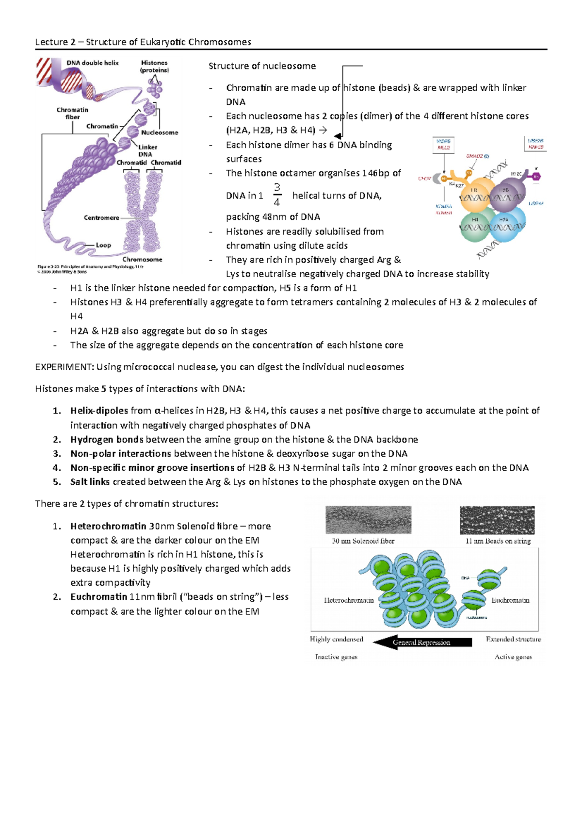 Lecture 2 - Structure of Eukaryotic Chromosomes - Lecture 2 – Structure ...