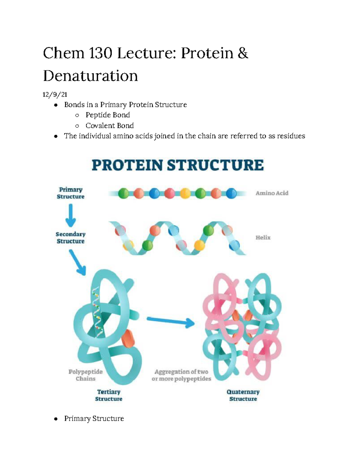 Chem 130 Lecture Protein Chem 130 Lecture Protein & Denaturation 12