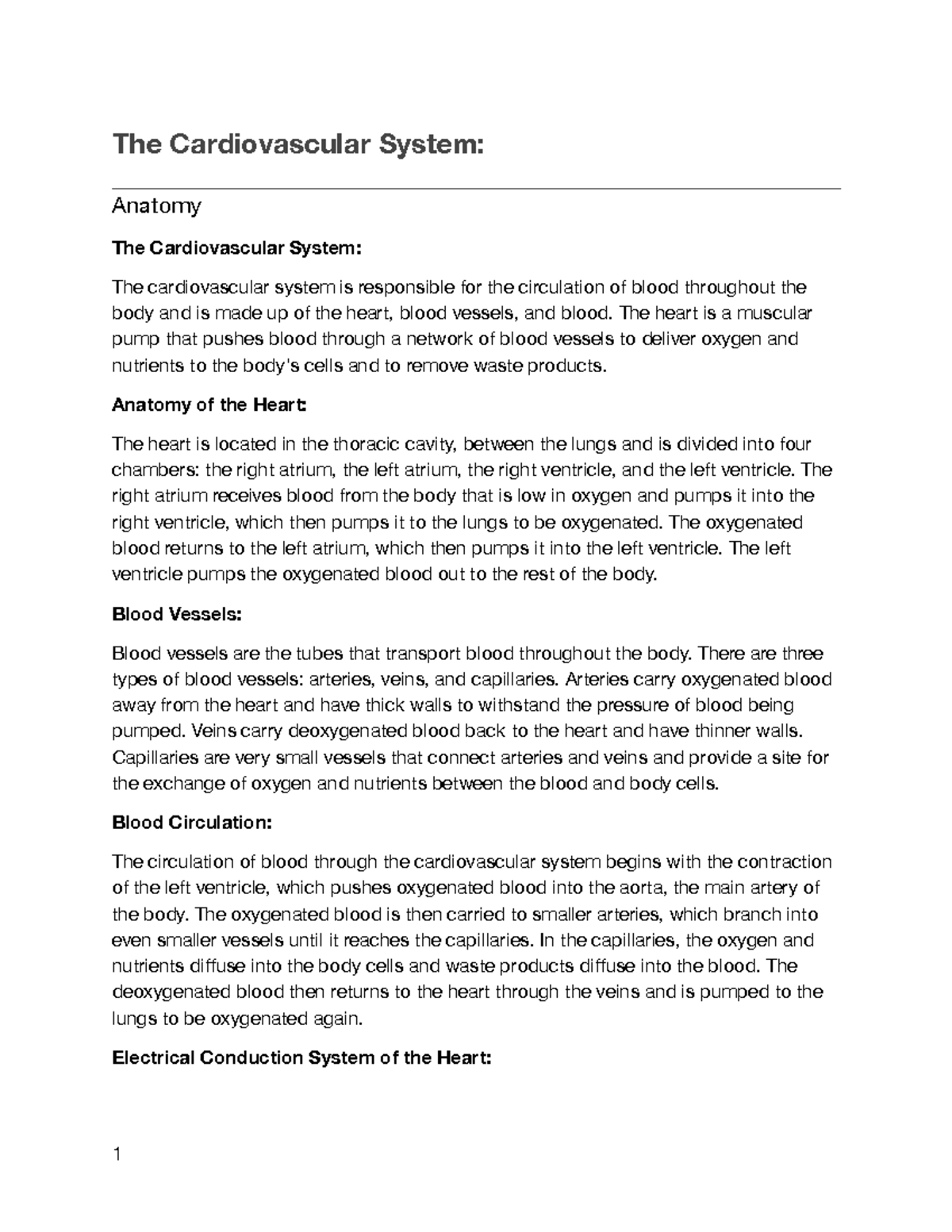 The Cardiovascular System Vocab - The Cardiovascular System: Anatomy ...