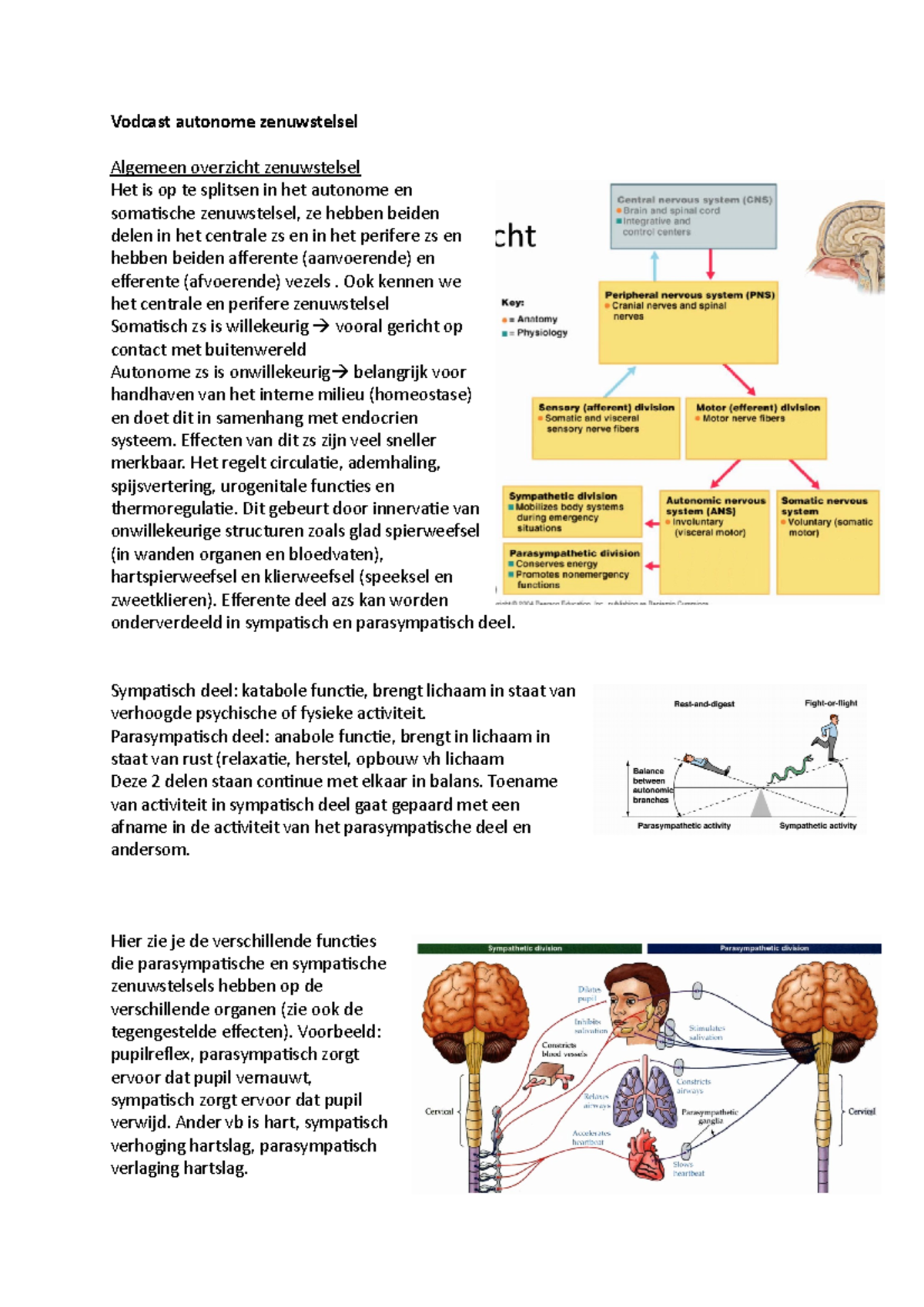 Vodcast Autonome Zenuwstelsel - Vodcast Autonome Zenuwstelsel Algemeen ...
