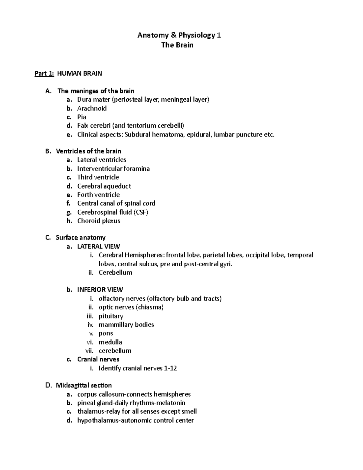 Anatomy UNIT 3 Notes- The Brain - Anatomy & Physiology 1 The Brain Part ...