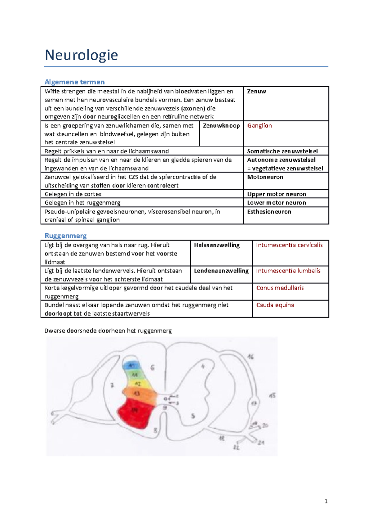 Neurologie - Neurologie Algemene Termen Witte Strengen Die Meestal In ...