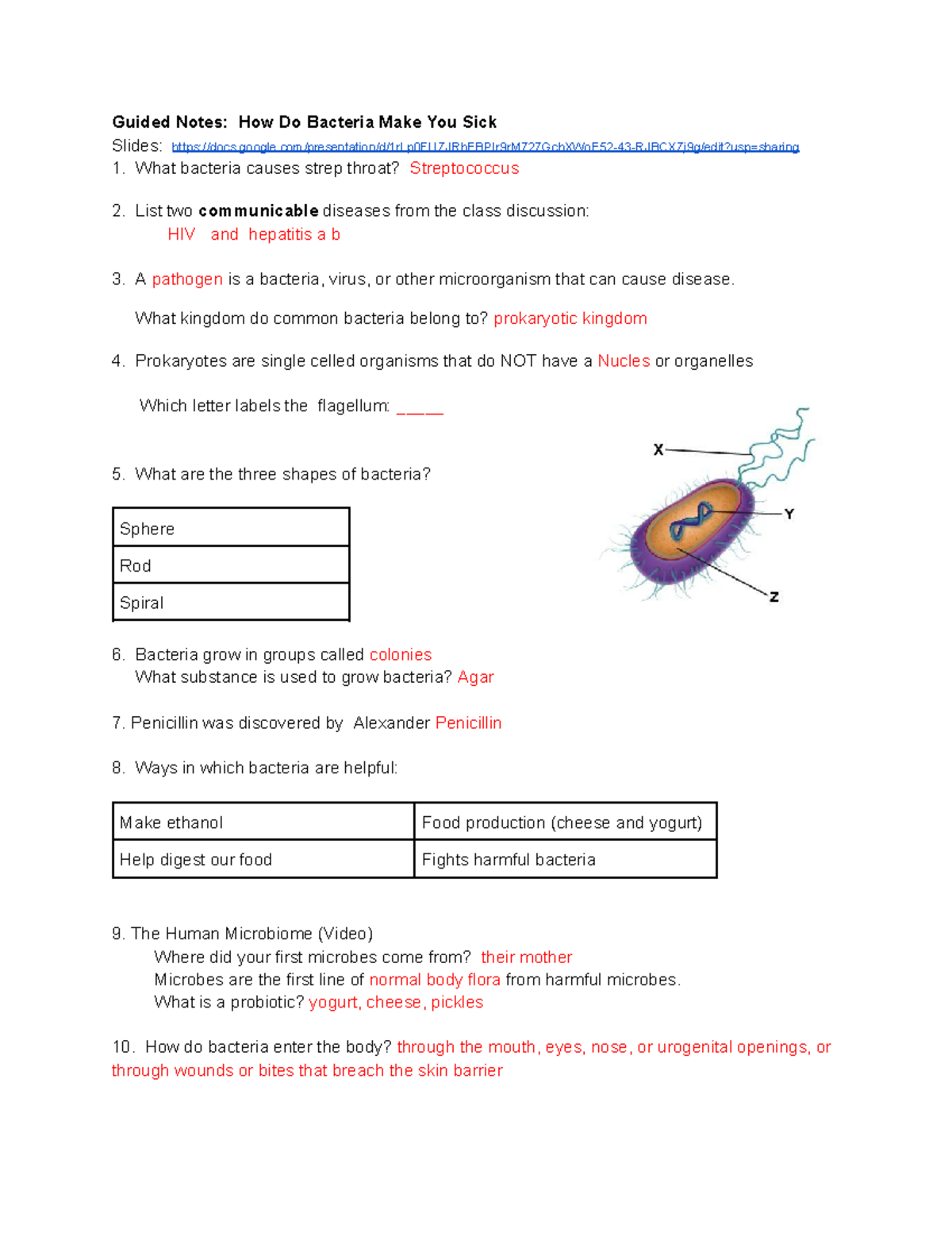 How do bacteria make you sick - 10843835 - Guided Notes: How Do ...