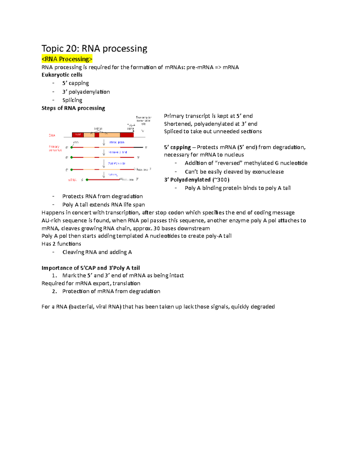 Topic 20 - RNA Processing - Topic 20: RNA processing RNA processing is ...