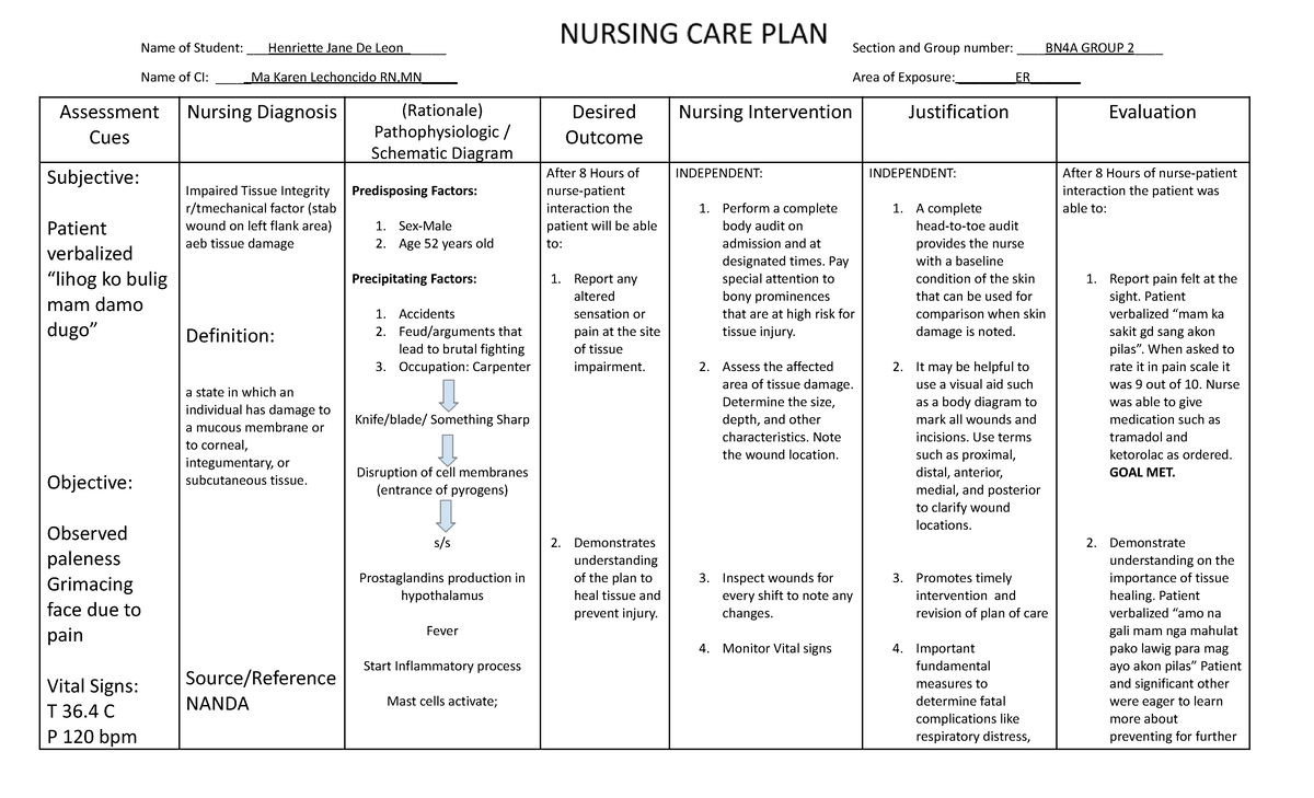 DEVELOPING NURSING CARE PLAN - Nursing - Studocu