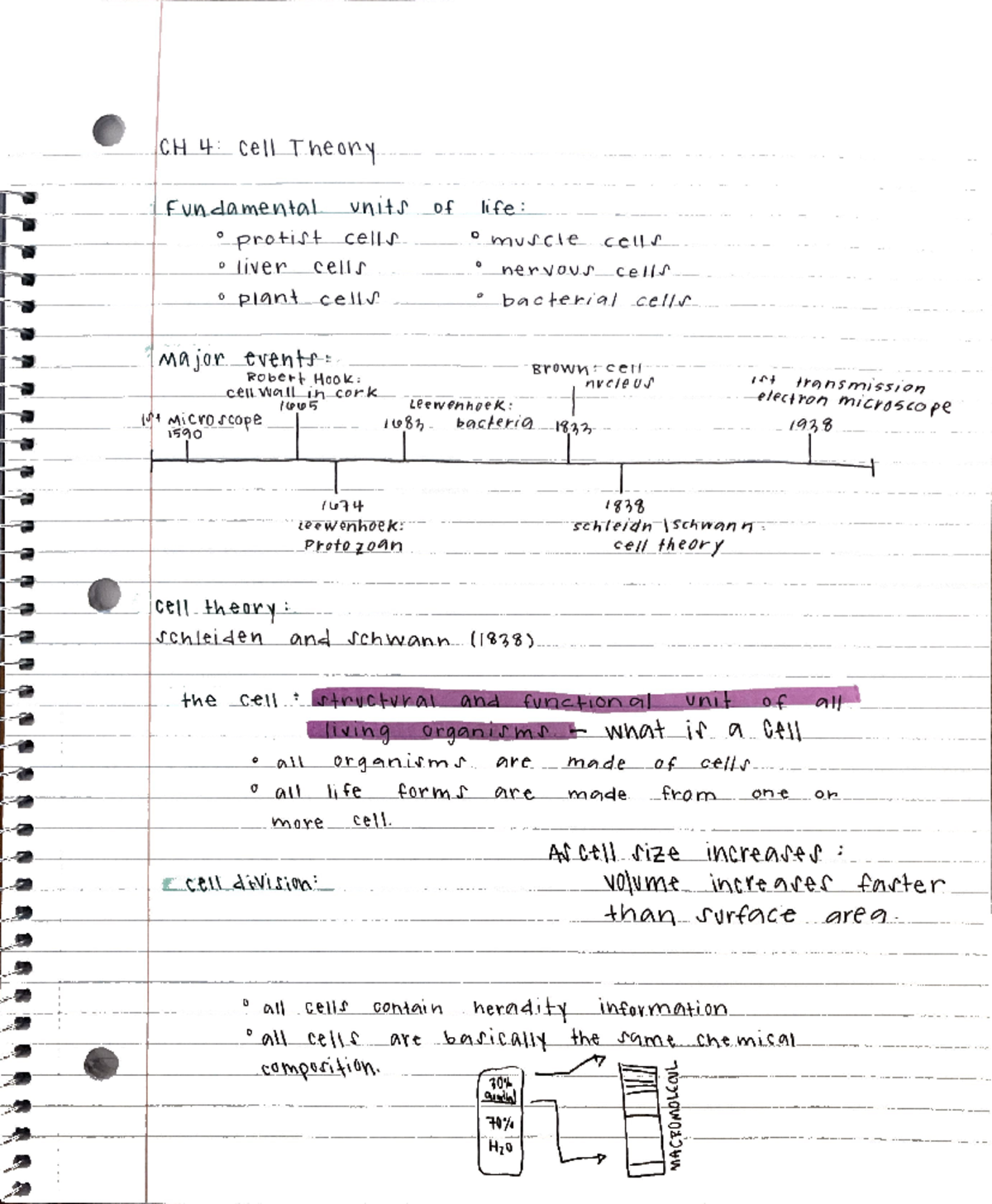 Chapter 4 - BIOL 1301 - Studocu