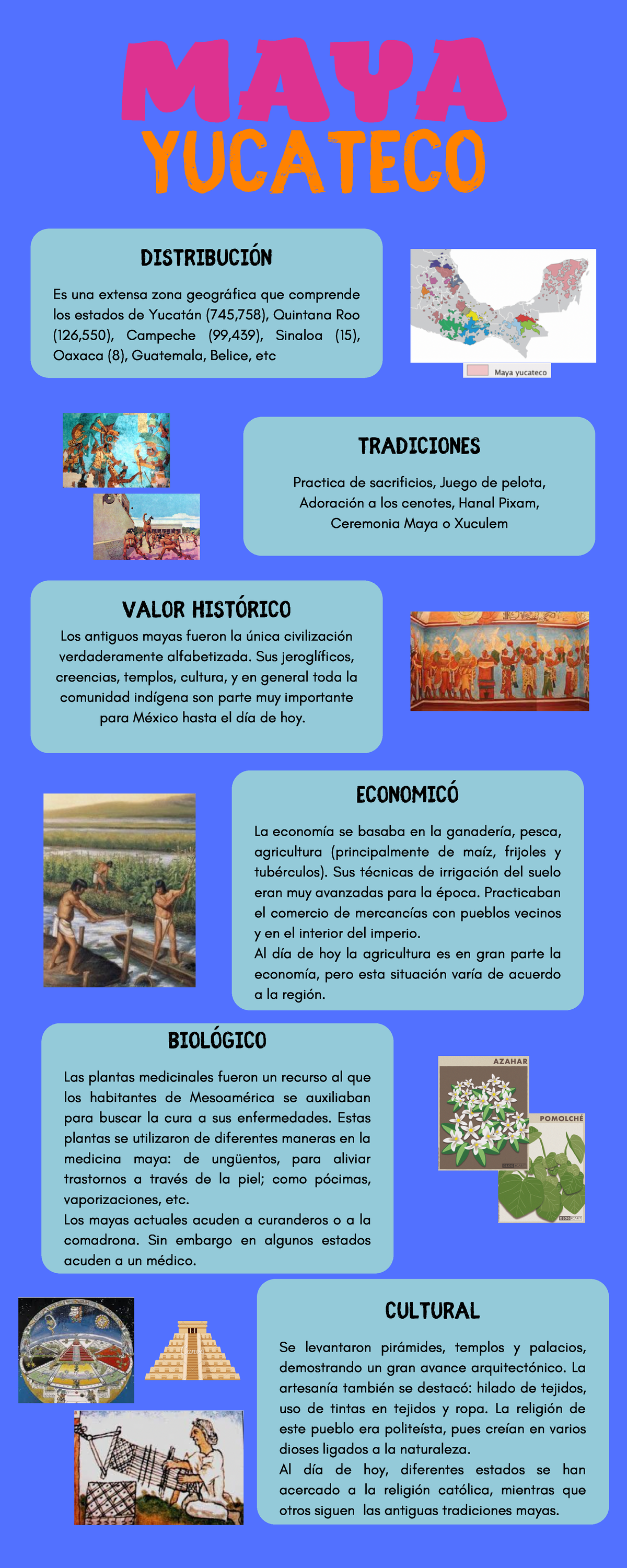 Civilización Maya Infografía para mayor comprensión MAYA YUCATECO