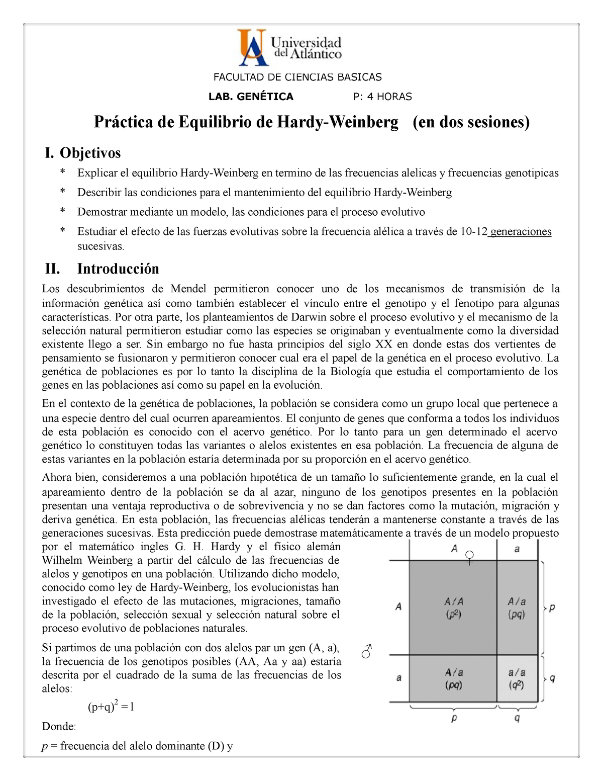 1. Práctica de equilibrio de Hardy-Weinberg - FACULTAD DE CIENCIAS BÁSICAS  LAB. GENÉTICA P: 4 HORAS - Studocu