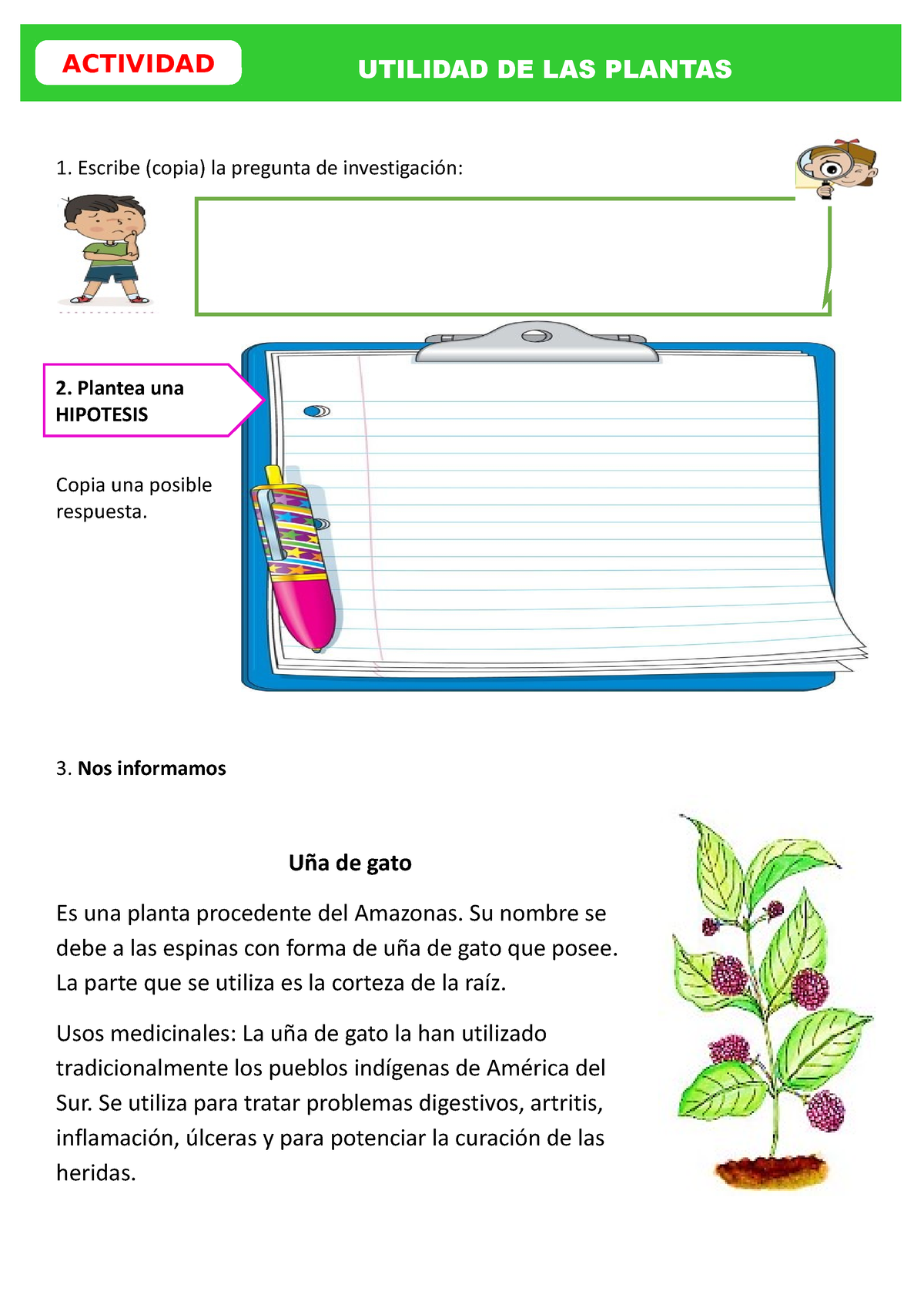 D3 A1 Ficha CYT Utilidad De Las Plantas - 1. Escribe (copia) La ...