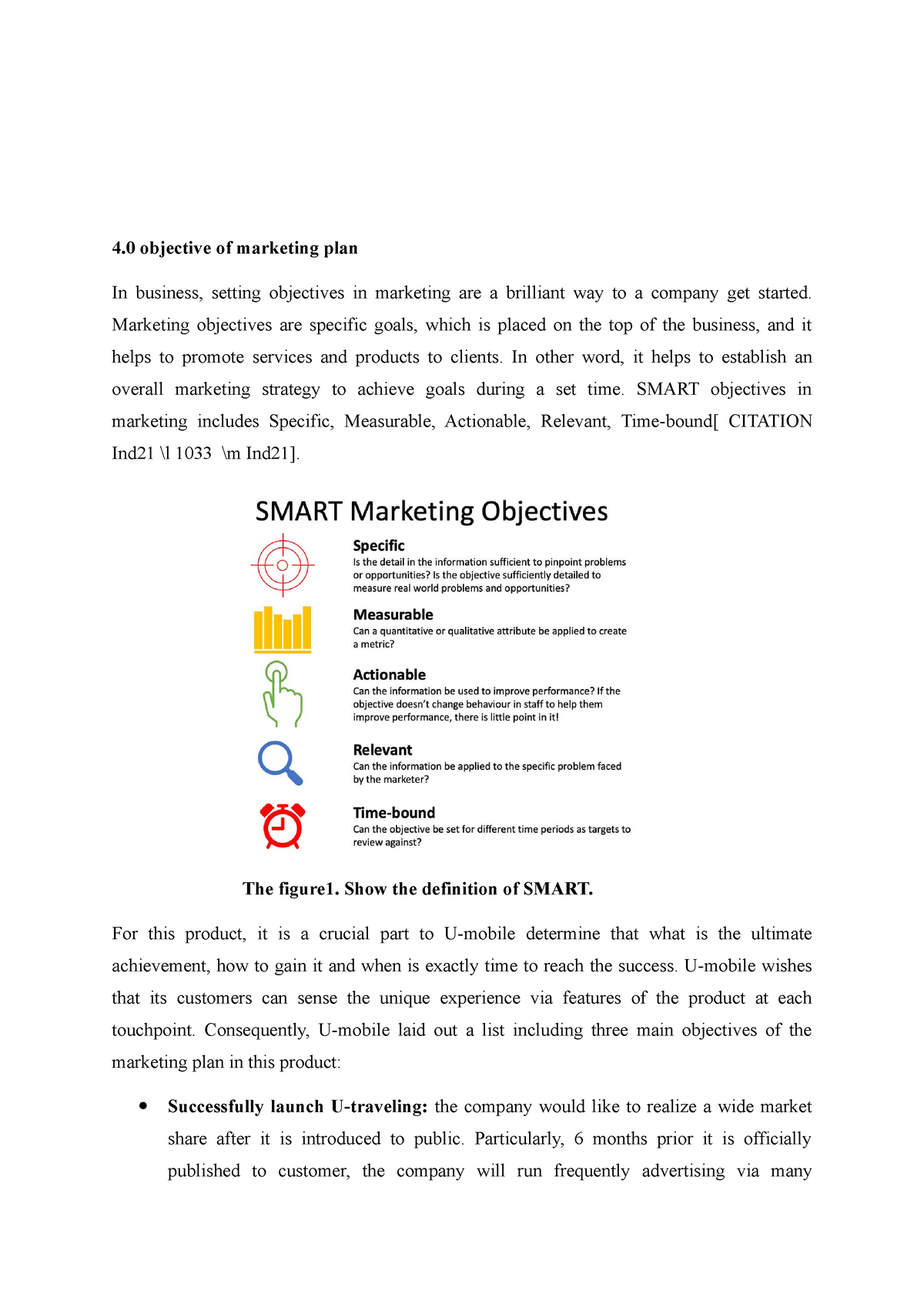 group-asignment-marketing-module-4-objective-of-marketing-plan-in