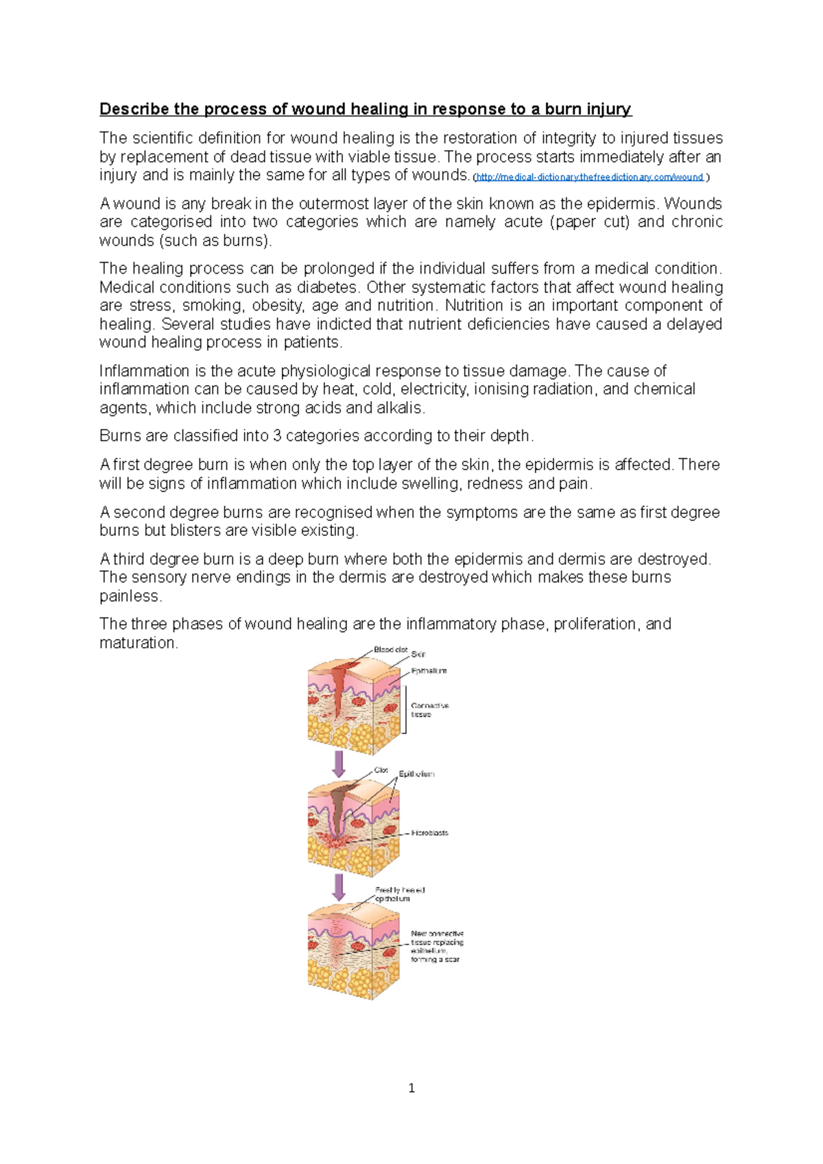 Essay - Grade: 75% - Describe the process of wound healing in response ...