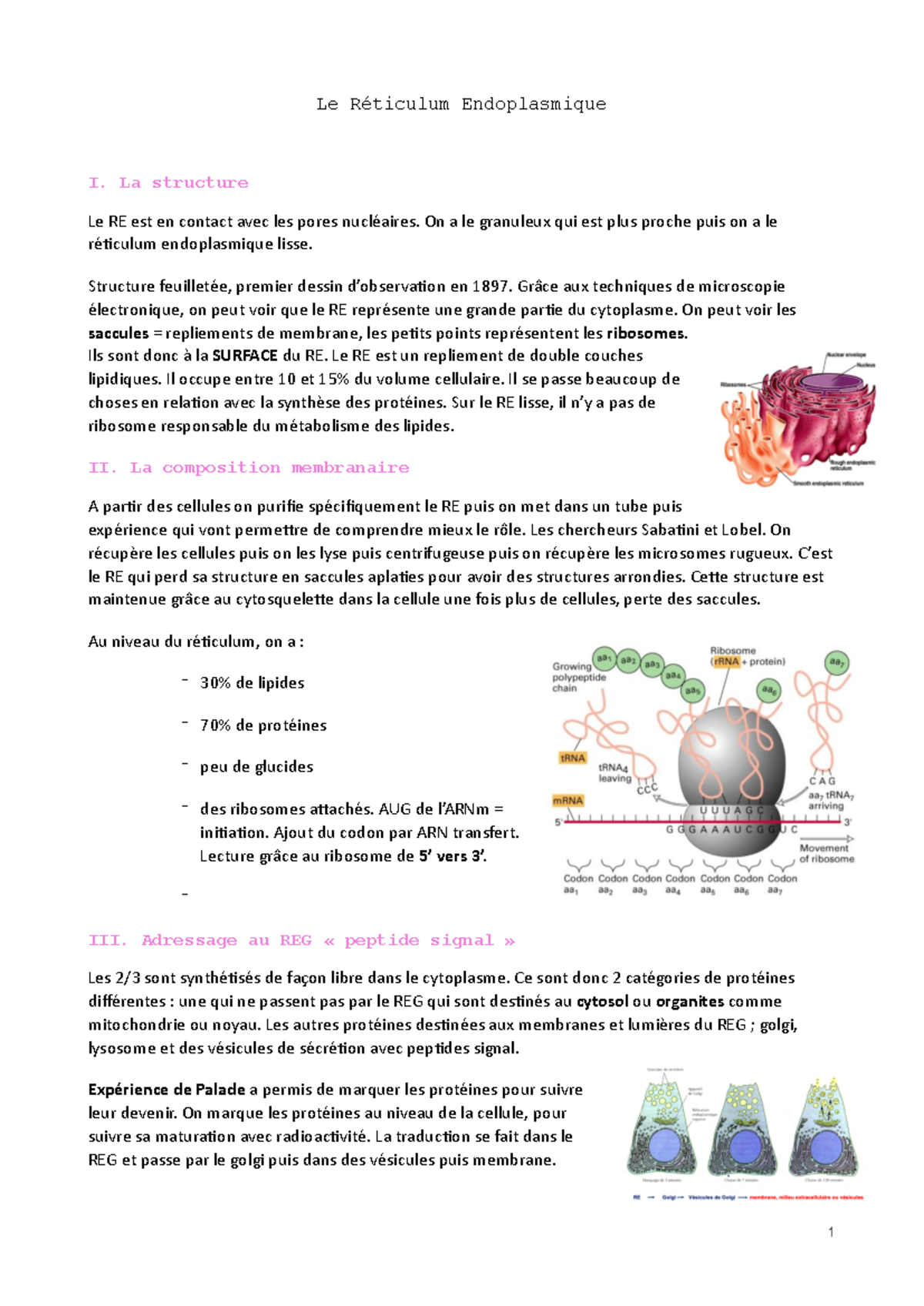 Réticulum endoplasmique - La structure Le RE est en contact avec les ...