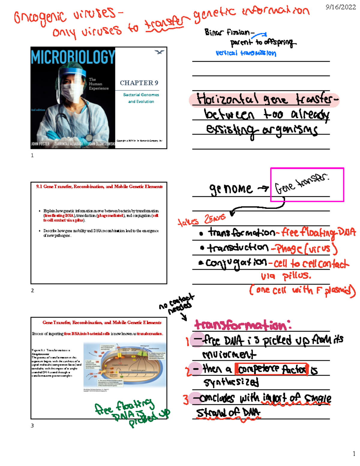 Chapter 14 Medical Micro Biology, notes to lead you to success! 1