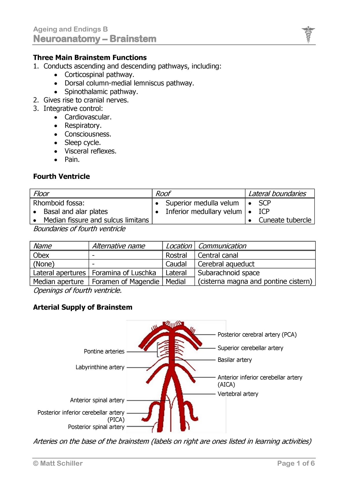 Brainstem - Lecture Notes 5 - Ageing And Endings B Neuroanatomy ...