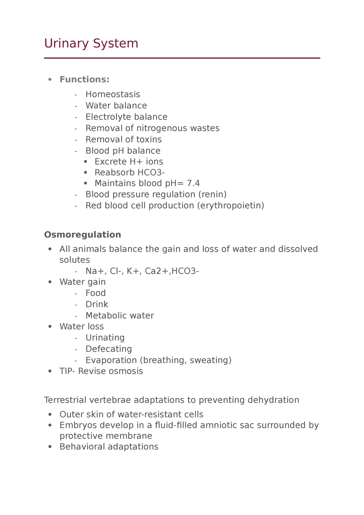 Urinary System Urinary System Functions Homeostasis Water