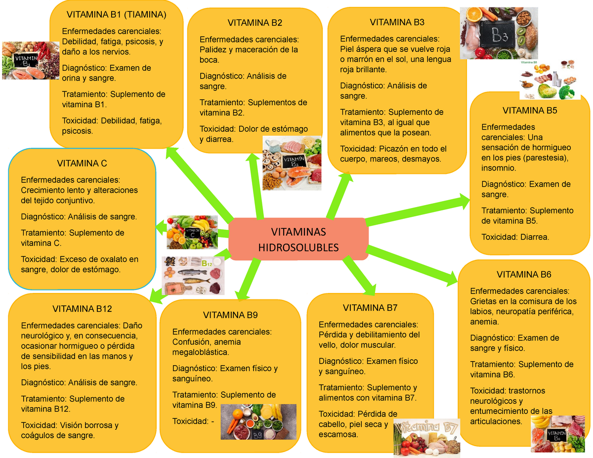Bioquímica Vitaminas Hidrosolubles Y Liposolubles A B C D E K Vitamina B Enfermedades 4722
