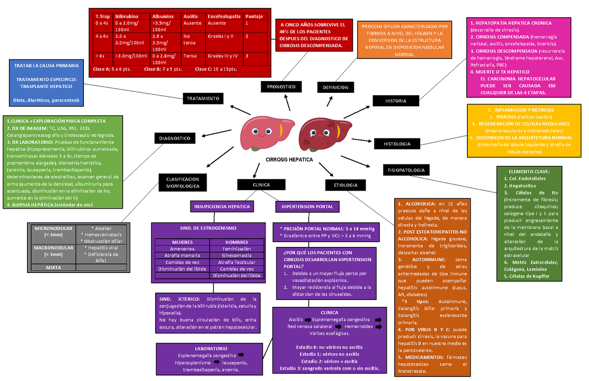 MAPA Conceptual Cirrosis - DEFINICION PROCESO DIFUSO CARACTERIZADO POR  FIBROSIS A NIVEL DEL HÕGADO Y - Studocu