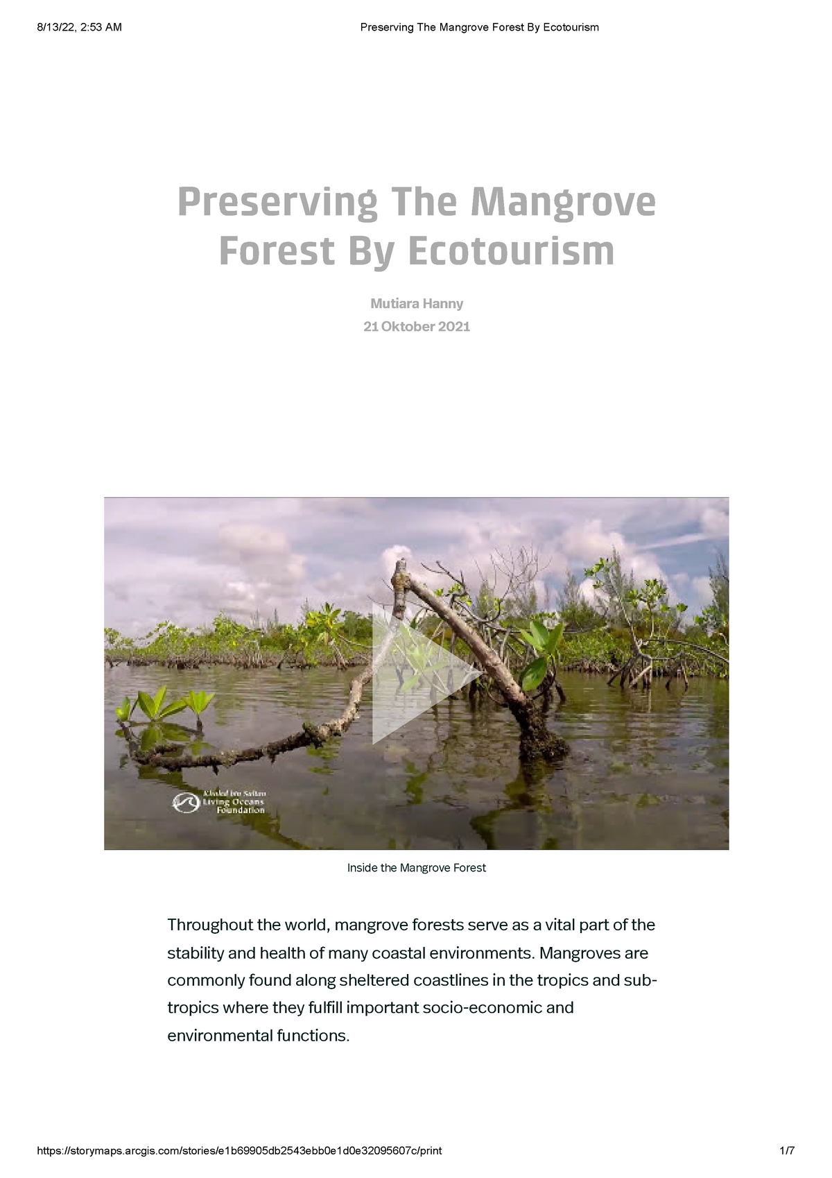 descriptive essay about mangrove forest